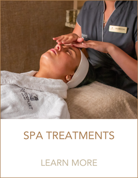 button spa website modules 1